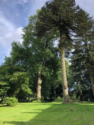 Merveilleux Cottage Dans Parc De 7,5 Hectares Saint-Nicolas-du-Pélem المظهر الخارجي الصورة